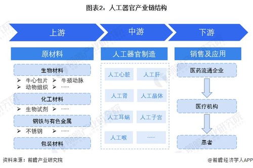 預(yù)見2024 2024年中國人工器官行業(yè)全景圖譜 附市場現(xiàn)狀 競爭格局和發(fā)展趨勢等