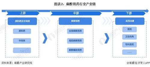預見2024 2024年中國麻醉用藥行業全景圖譜 附市場現狀 競爭格局和發展趨勢等