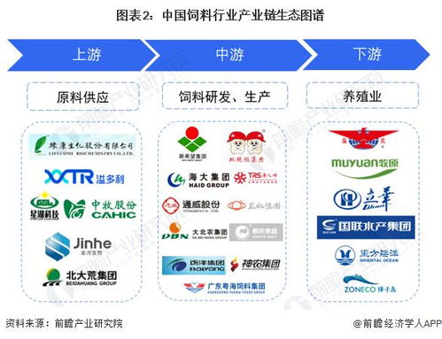 2023年飼料行業(yè)產(chǎn)業(yè)鏈全景梳理及區(qū)域熱力地圖