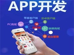 武漢系統(tǒng)軟件開發(fā)